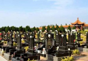 郑州墓地_郑州公墓|郑州北邙陵园|郑州墓地价格_郑州风水陵园